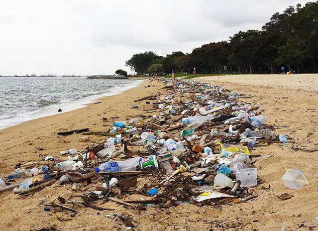 预计占地百万平方公里，太平洋上的垃圾带：你所不知道的海洋污染